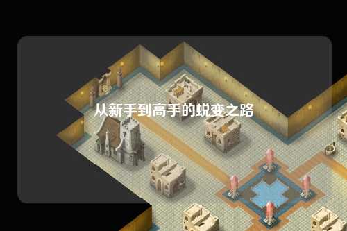 从新手到高手的蜕变之路