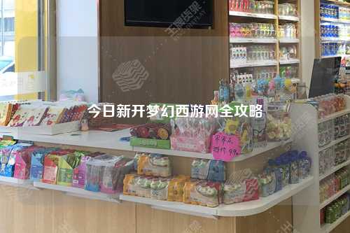 今日新开梦幻西游网全攻略