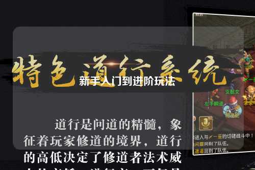 新手入门到进阶玩法