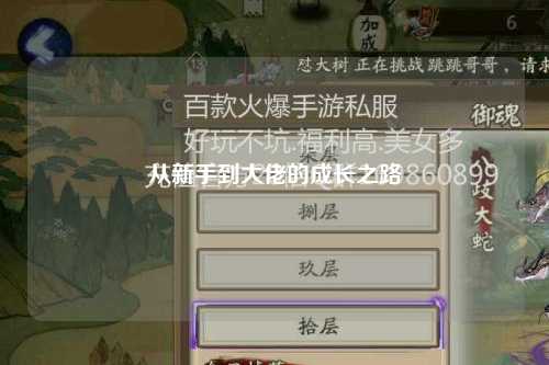 从新手到大佬的成长之路