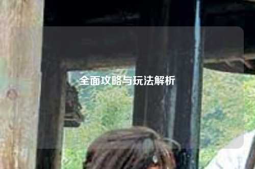 全面攻略与玩法解析