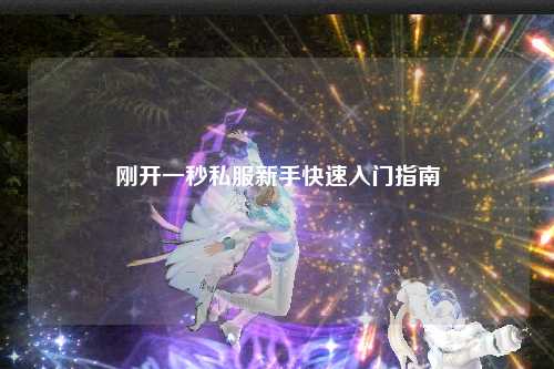 刚开一秒私服新手快速入门指南