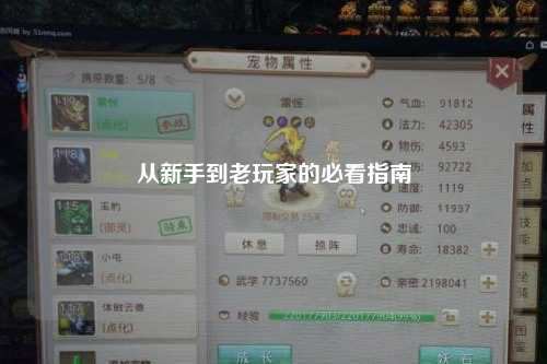 从新手到老玩家的必看指南