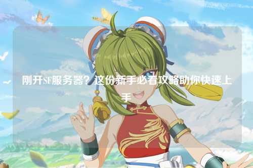 刚开SF服务器？这份新手必看攻略助你快速上手