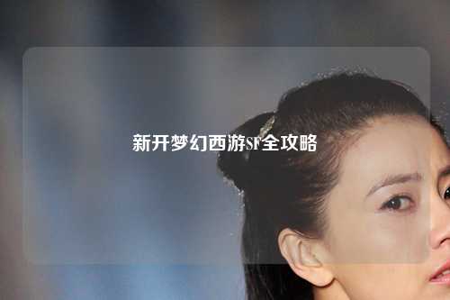 新开梦幻西游SF全攻略