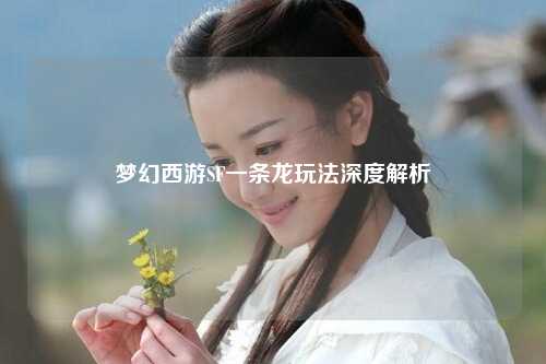 梦幻西游SF一条龙玩法深度解析