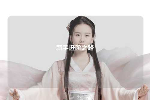 新手进阶之路