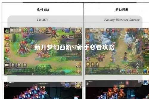 新开梦幻西游SF新手必看攻略