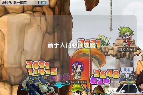 新手入门必读攻略