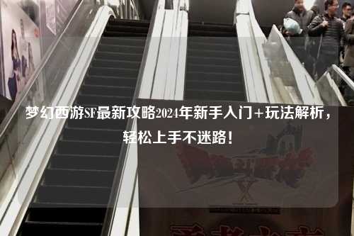 梦幻西游SF最新攻略2024年新手入门+玩法解析，轻松上手不迷路！