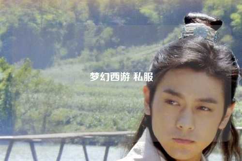 梦幻西游 私服